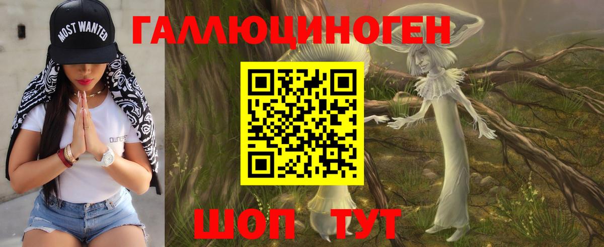 Галлюциногенные грибы мухоморы Ессентуки