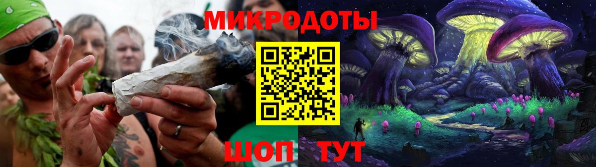 Ессентуки  Псилоцибиновые грибы ЛСД  Вход с VPN  Галлюциногенные грибы Psilocybe 